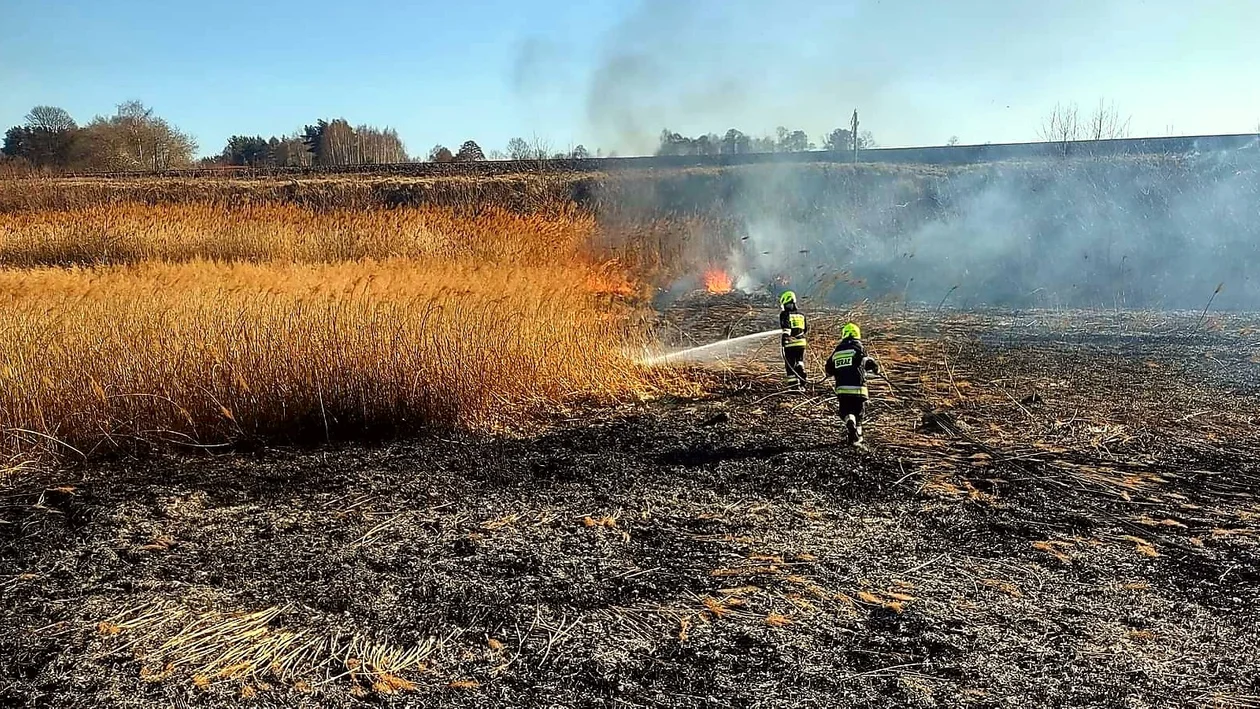 Dwa pożary w ciągu godziny. Płonęły trawy w powiecie kolbuszowskim - Zdjęcie główne