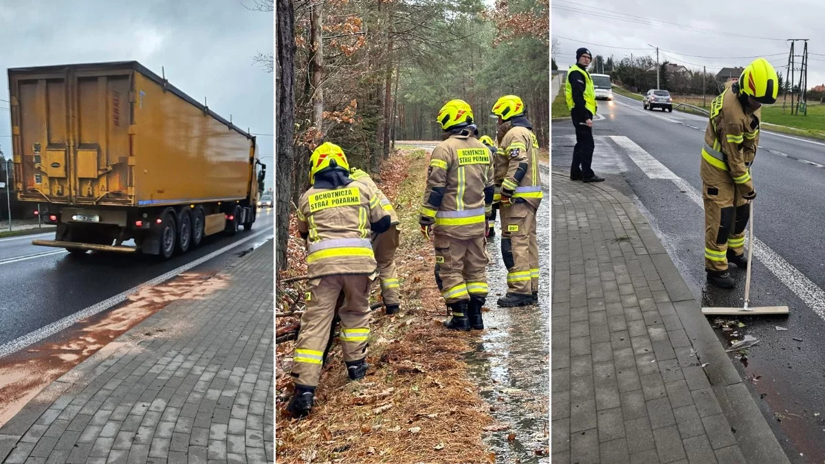 Dwie środowe interwencje służb w powiecie kolbuszowskim. Co się działo? [ZDJĘCIA] - Zdjęcie główne