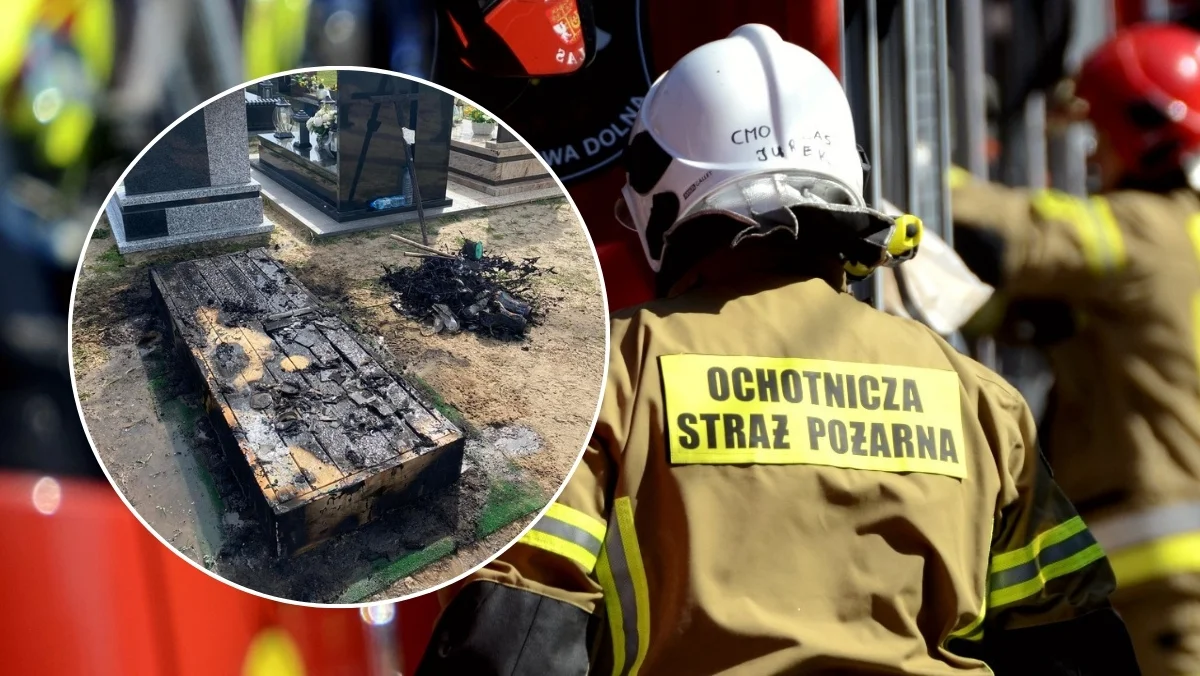 Pożar grobu i traw. To tylko niektóre z interwencji kolbuszowskich strażaków w weekend - Zdjęcie główne