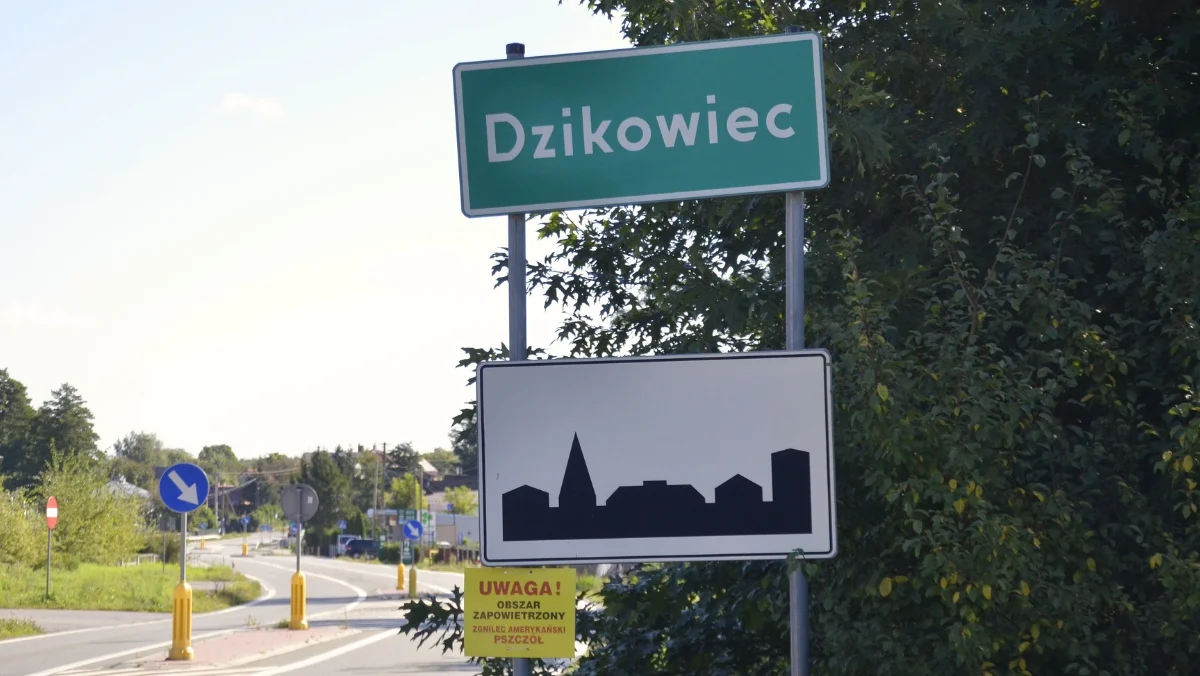 Rusza rekrutacja do przedszkoli i klas pierwszych w gminie Dzikowiec. Najważniejsze terminy i kryteria - Zdjęcie główne