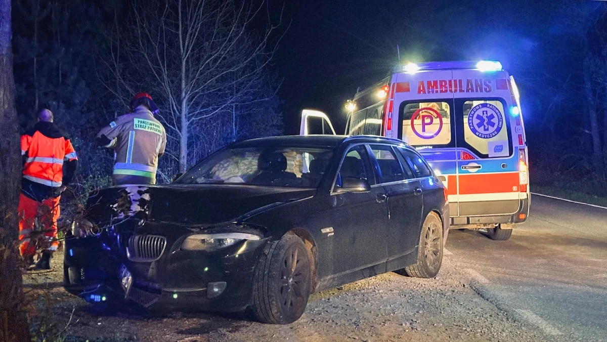 Groźna kolizja w Przedborzu na trasie Kolbuszowa - Sędziszów Młp. BMW roztrzaskało się na drzewie [ZDJĘCIA] - Zdjęcie główne