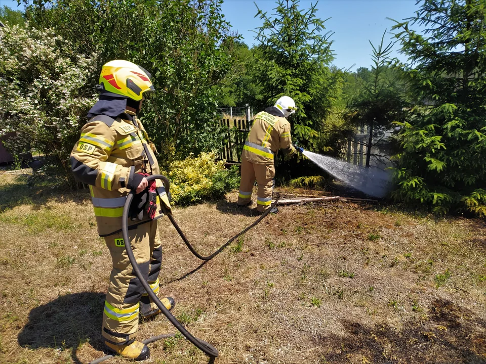 Pracowity weekend kolbuszowskich strażaków. Pożary gasiło ponad 20 zastępów OSP i PSP [ZDJĘCIA] - Zdjęcie główne