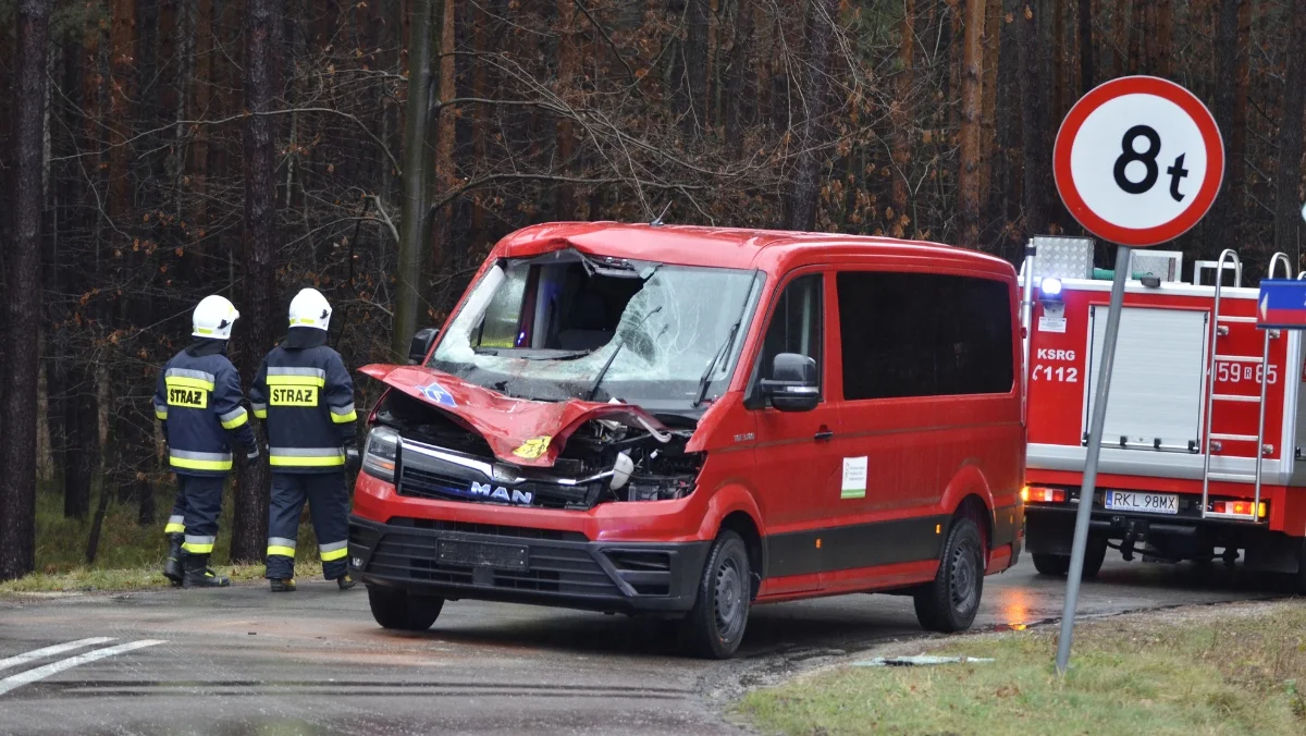 Wypadek w Przyłęku. Jeleń wpadł do busa przewożącego dzieci [ZDJĘCIA - AKTUALIZACJA] - Zdjęcie główne