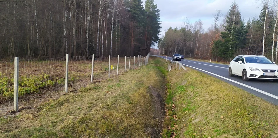 Powiat kolbuszowski za siatką. Przed czym ma chronić?  - Zdjęcie główne