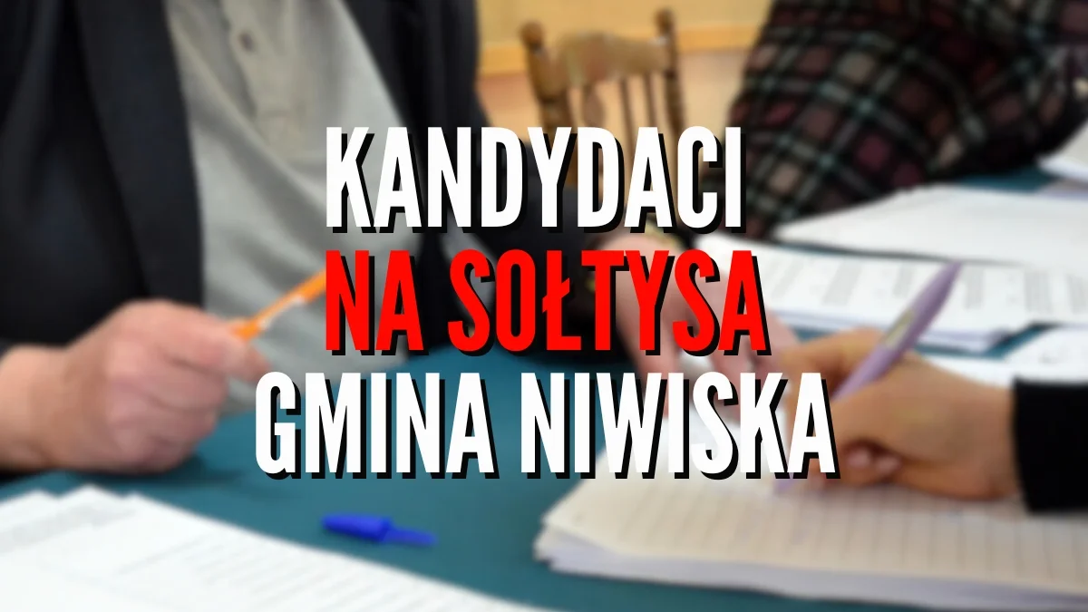 Wybory sołtysów 2024 w gminie Niwiska. Znamy wszystkich kandydatów. Są nowe nazwiska [LISTA] - Zdjęcie główne