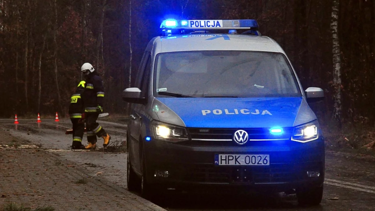 Kolizja z drzewem w Przyłęku. Policjanci pouczyli kierującego mercedesem - Zdjęcie główne