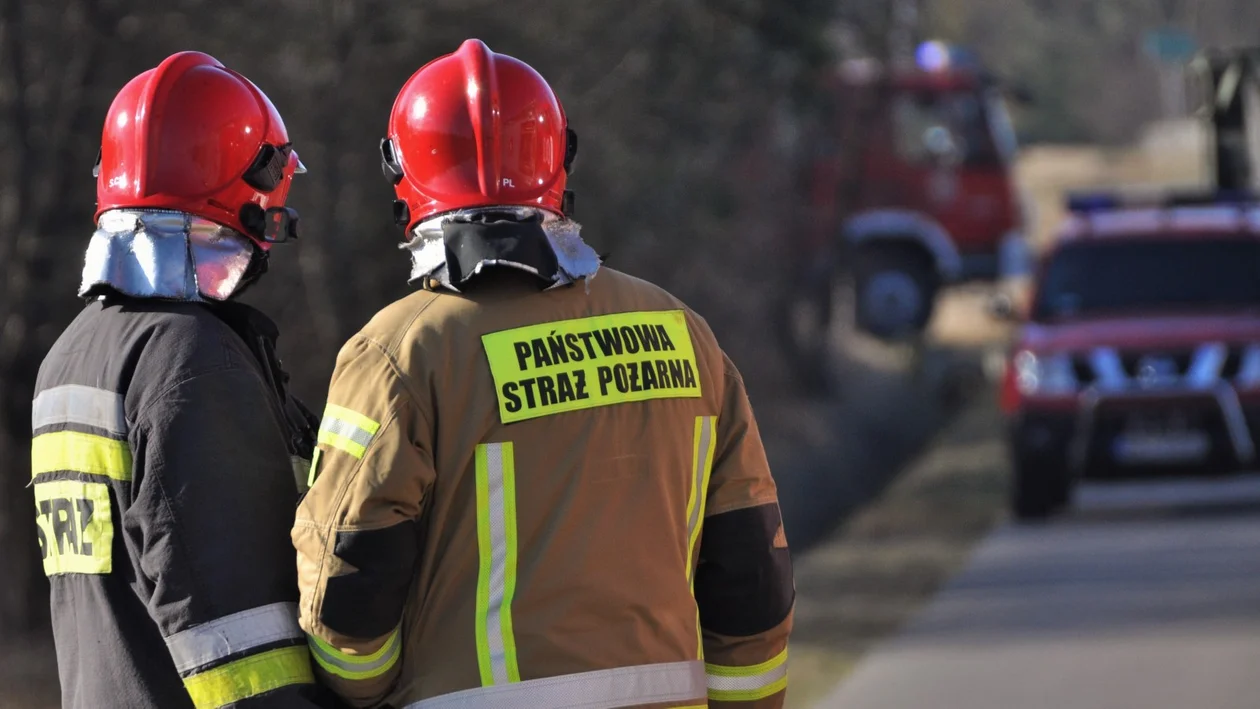 Strażacy podsumowali pierwszą połowę wakacji. Ile razy interweniowali w powiecie kolbuszowskim? - Zdjęcie główne