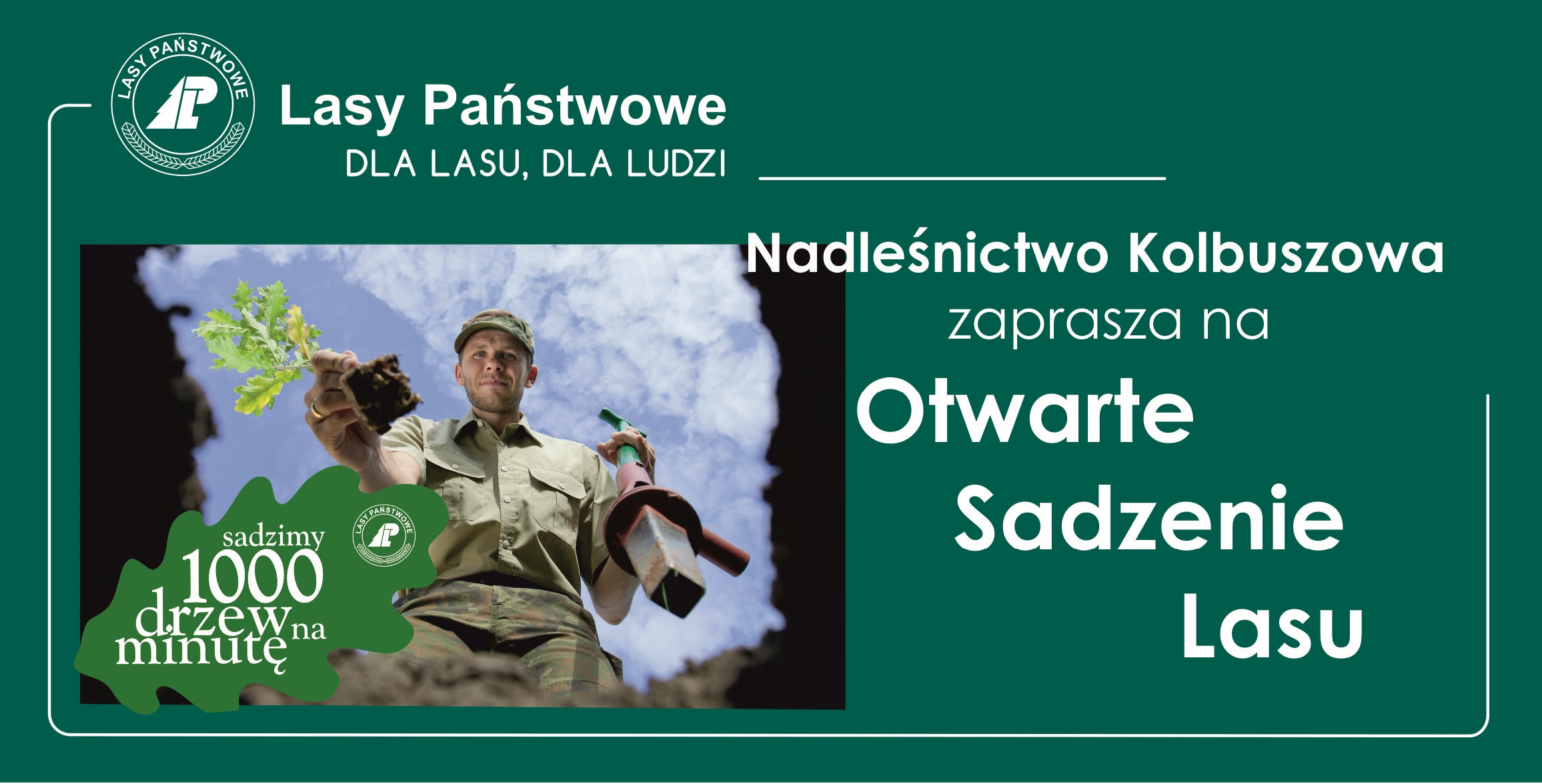 Nadleśnictwo Świerczów. Posadź drzewo i ogrzej się przy ognisku - Zdjęcie główne