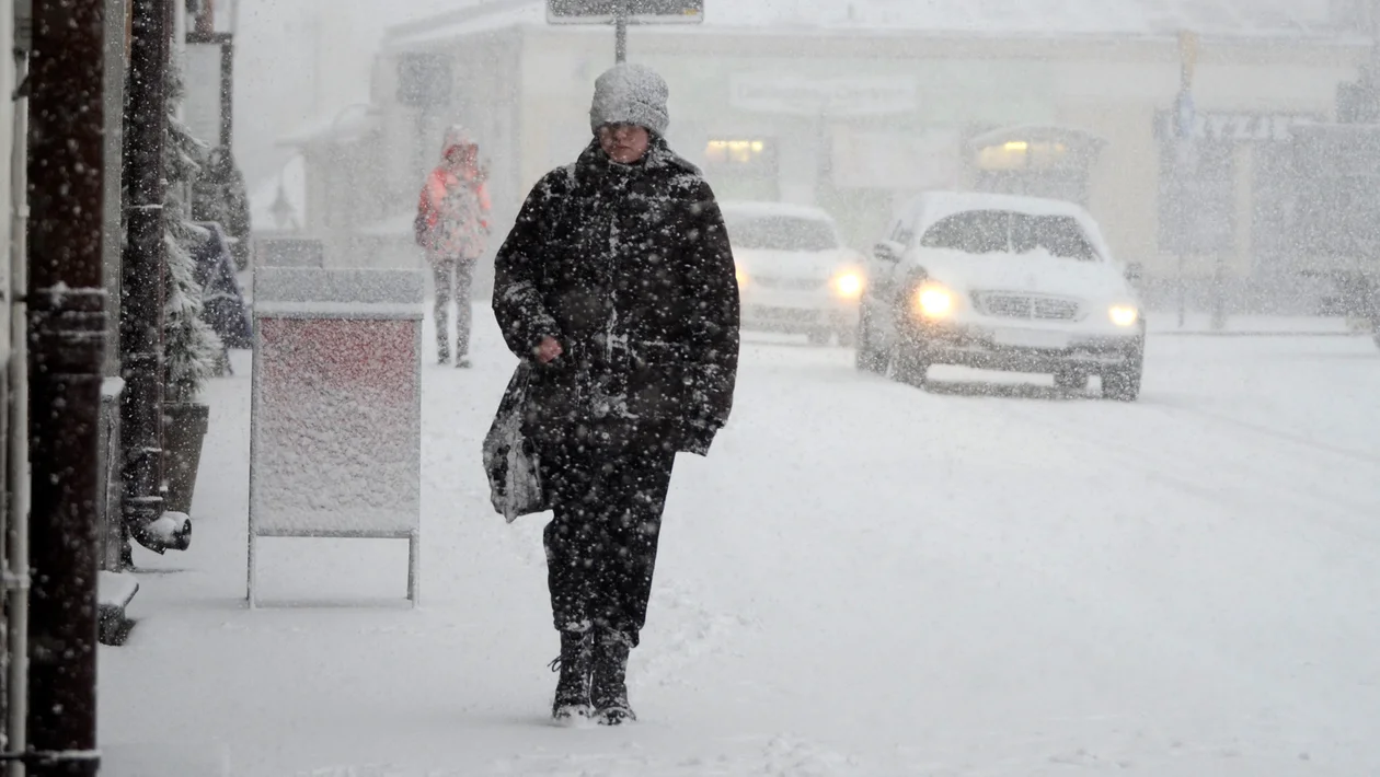 Śnieżyca w Kolbuszowej i utrudnienia na drogach. Zobacz zdjęcia i nagrania [20 stycznia 2022 rok] - Zdjęcie główne