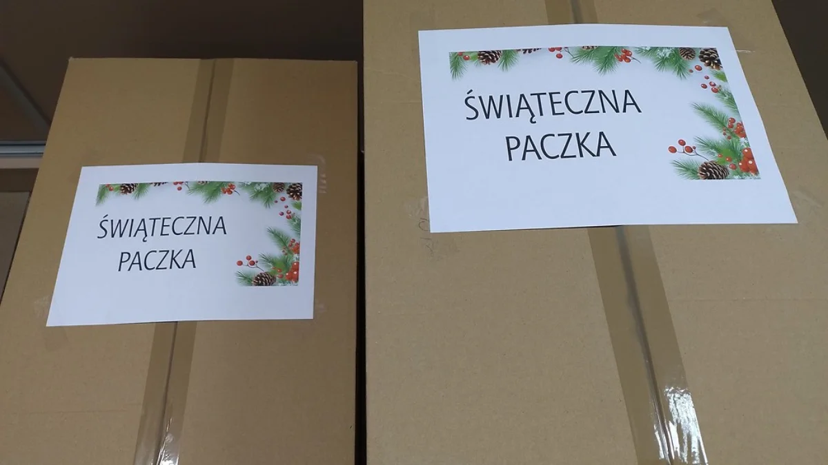 Radni i urzędnicy ze starostwa w Kolbuszowej przygotowali paczki dla potrzebujących - Zdjęcie główne