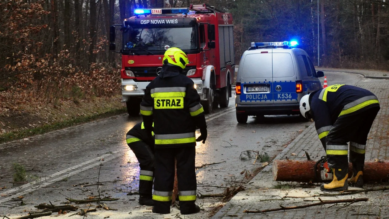 Silny wiatr i opady deszczu. Przeszło 70 interwencji strażaków na Podkarpaciu. Ile w powiecie kolbuszowskim? - Zdjęcie główne