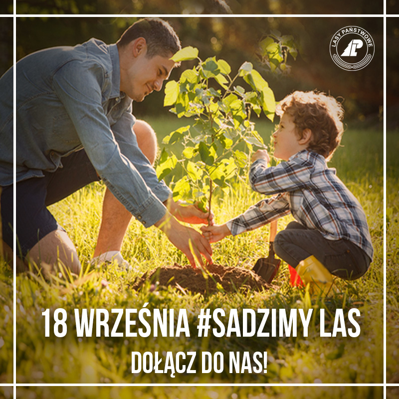 Akcja #sadziMy 2020. Odbierz swoje drzewko - Zdjęcie główne