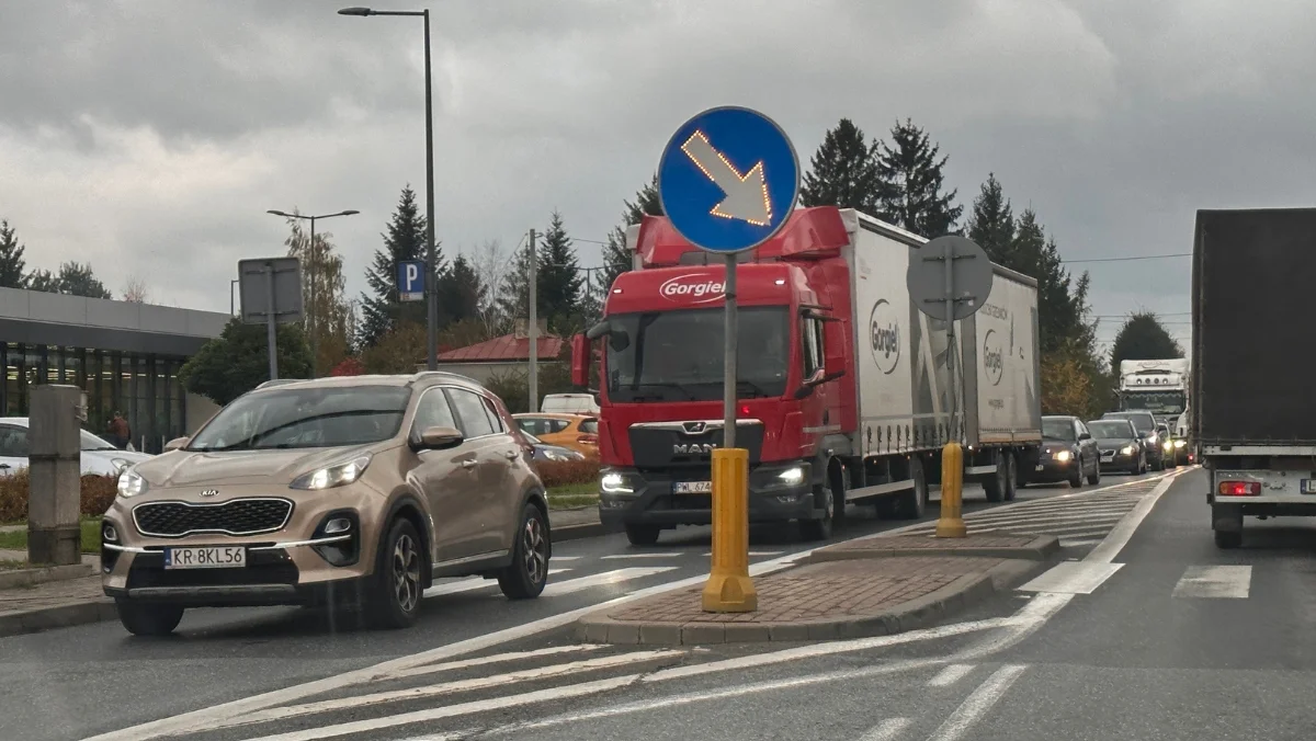 Celowo potrącił psa na ul. Rzeszowskiej w Kolbuszowej? Zwierzę nie przeżyło. Znamy ustalenia policji - Zdjęcie główne