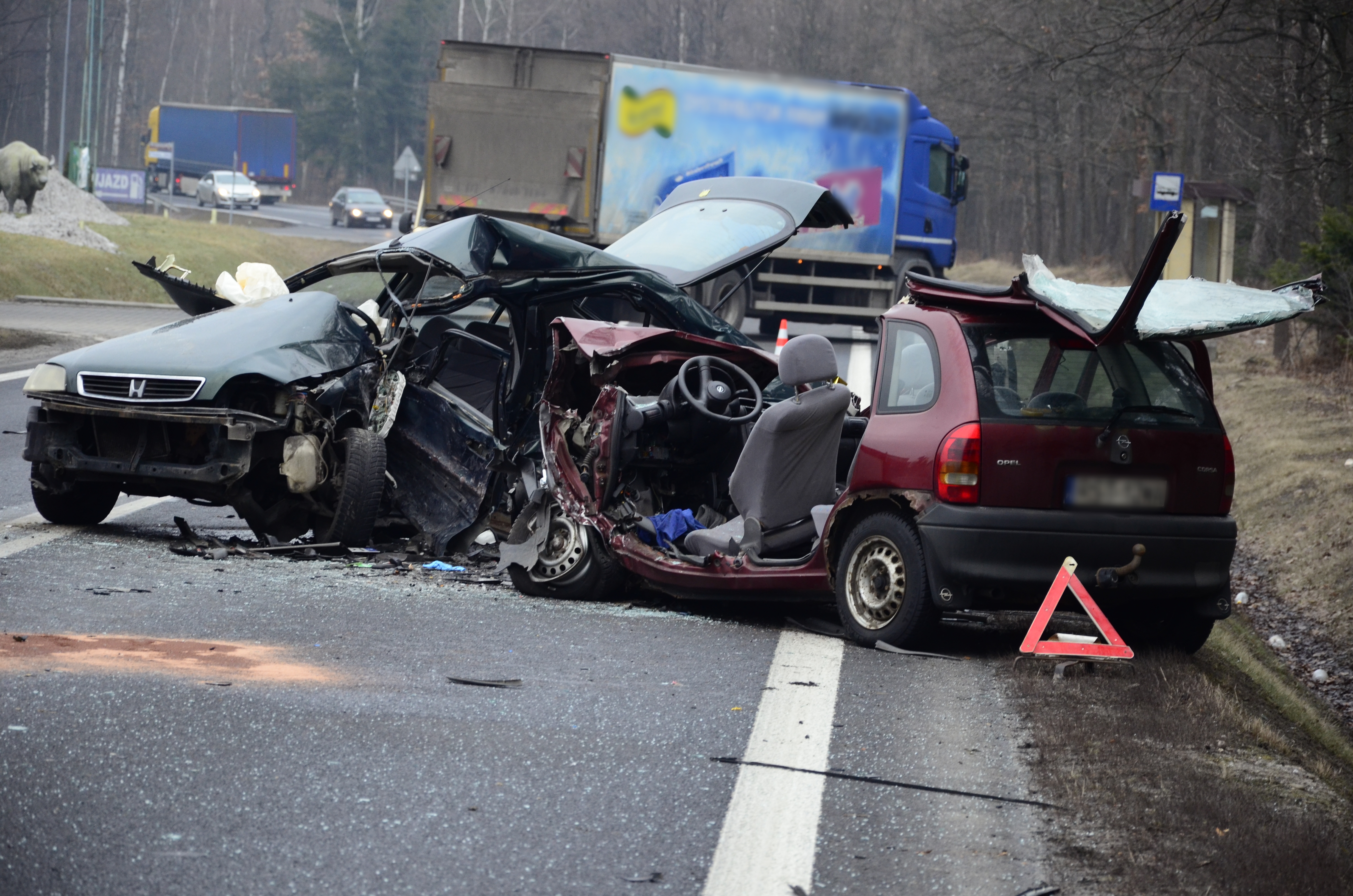 AKTUALIZACJA. Śmiertelny wypadek w Komorowie na drodze krajowej nr 9 [ZDJĘCIA] - Zdjęcie główne