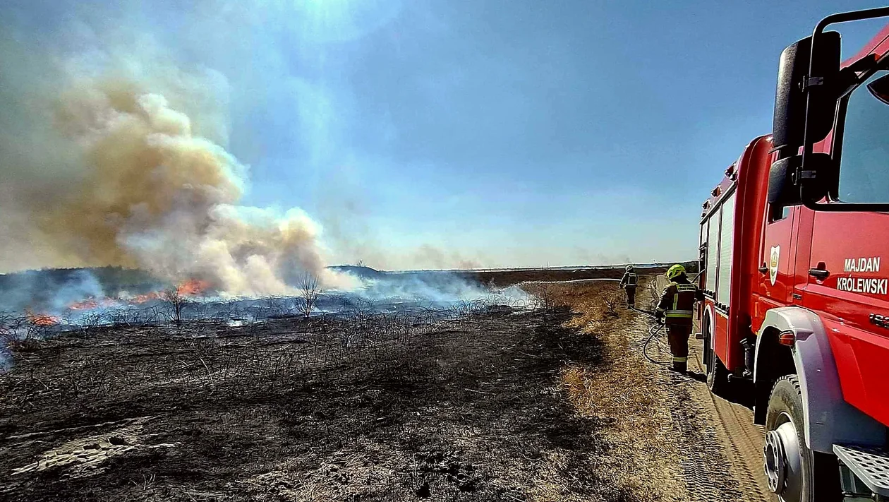 Duży pożar na poligonie w Nowej Dębie. W ogniu 25 hektarów lasu i wrzosowisk! - Zdjęcie główne