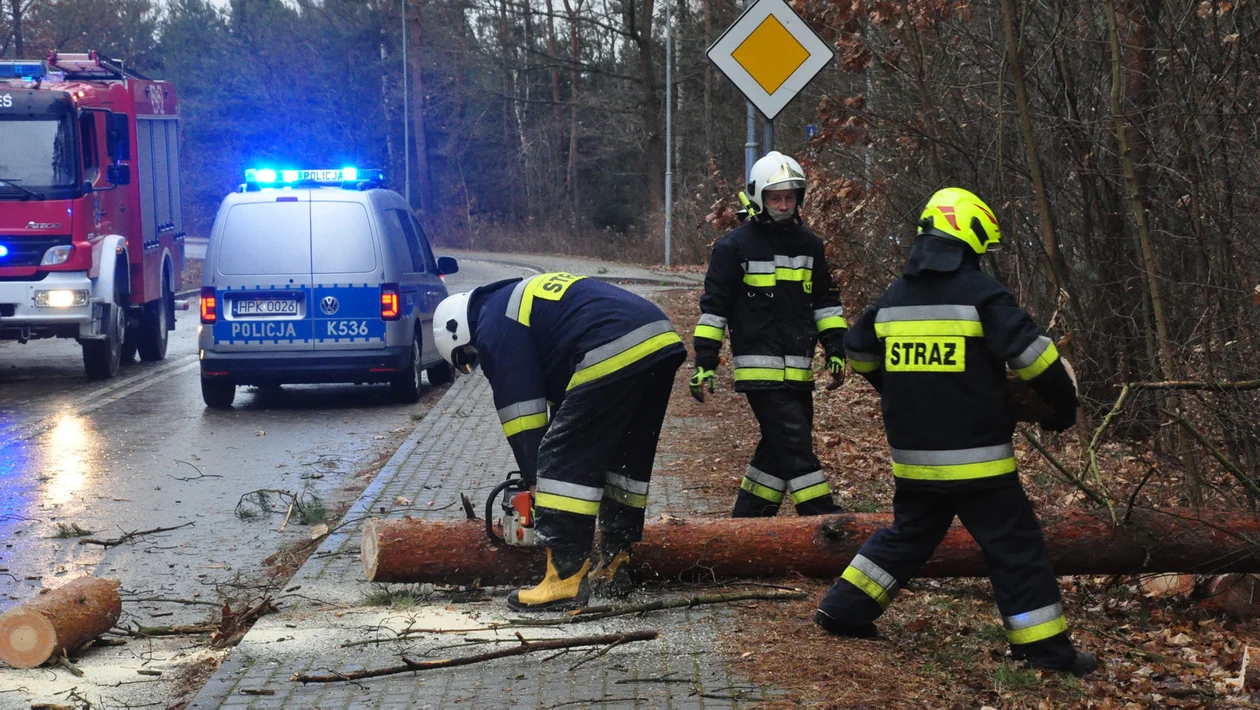 Wichura nad powiatem kolbuszowskim. Nowe informacje [RAPORT] - Zdjęcie główne