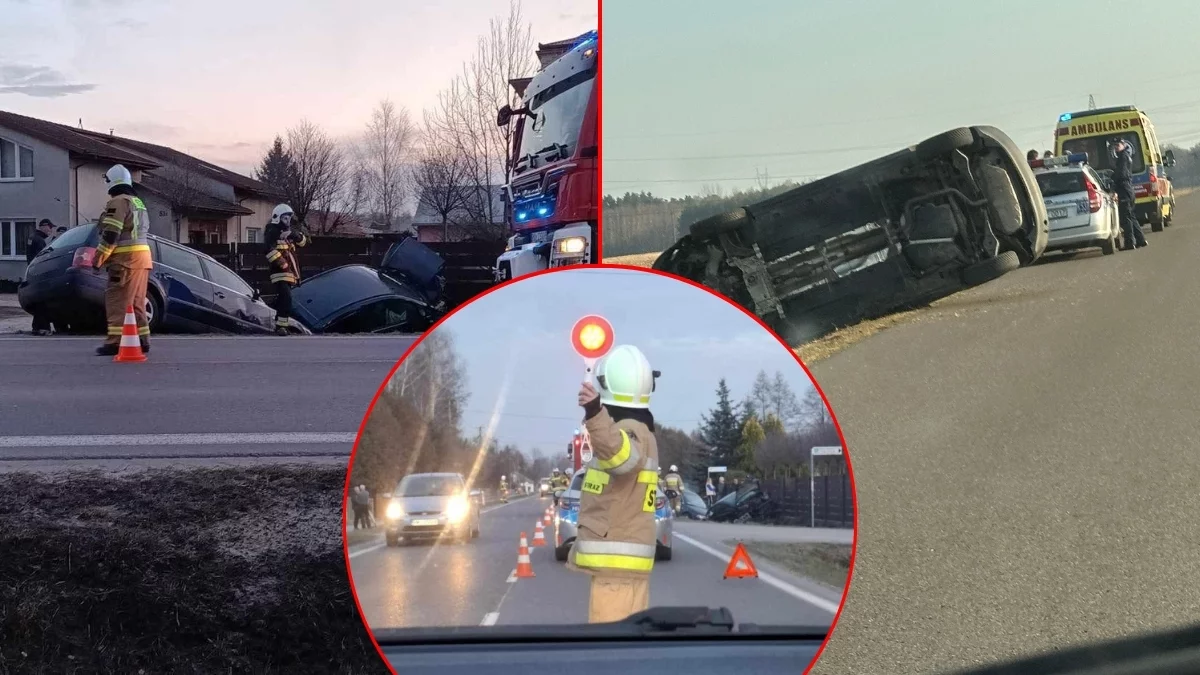 Weekend pełen interwencji. Wypadki z udziałem nietrzeźwego, dziecka oraz dzikiej zwierzyny - Zdjęcie główne