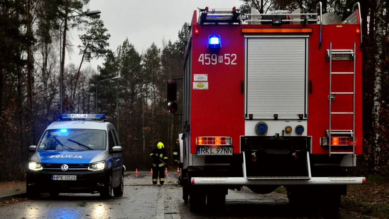 W tych gminach najczęściej interweniowali kolbuszowscy strażacy w 2022 roku. W których miesiącach mieli najwięcej pracy? - Zdjęcie główne