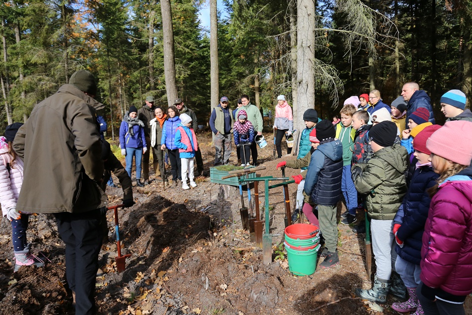 3 tysiące nowych drzew rośnie już w Świerczowie [ZDJĘCIA] - Zdjęcie główne