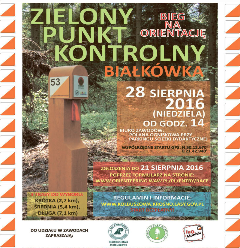 Bieg na orientację - Zdjęcie główne