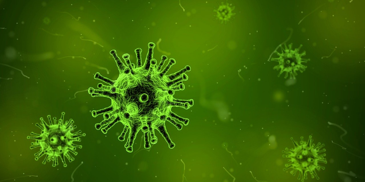 20 przypadek zakażenia koronawirusem na Podkarpaciu - Zdjęcie główne