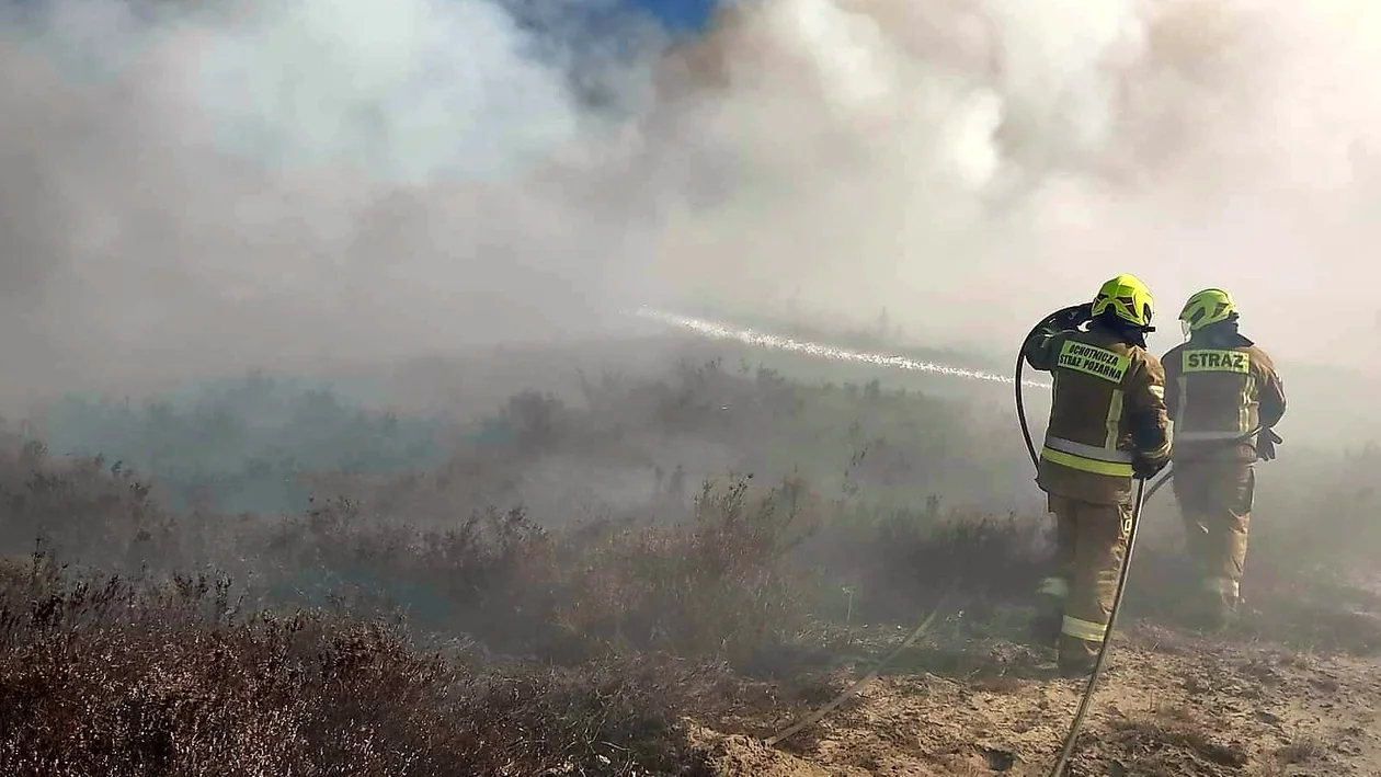 Pożar na poligonie w Nowej Dębie. Spłonęło 110 hektarów. W akcji samolot gaśniczy Dromader [ZDJĘCIA] - Zdjęcie główne
