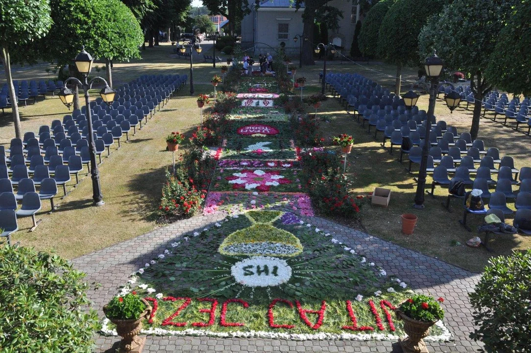 Niesamowity dywan z żywych kwiatów w Cmolasie wykonany przez parafian z Hadykówki. Zobacz jak się tworzył [ZDJĘCIA] - Zdjęcie główne