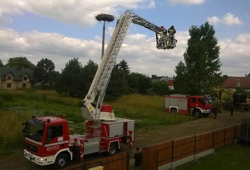 Gmina Kolbuszowa. Mieszkańcy Kolbuszowej Górnej i strażacy ruszyli na pomoc bocianowi, który połknął pas włókniny  - Zdjęcie główne