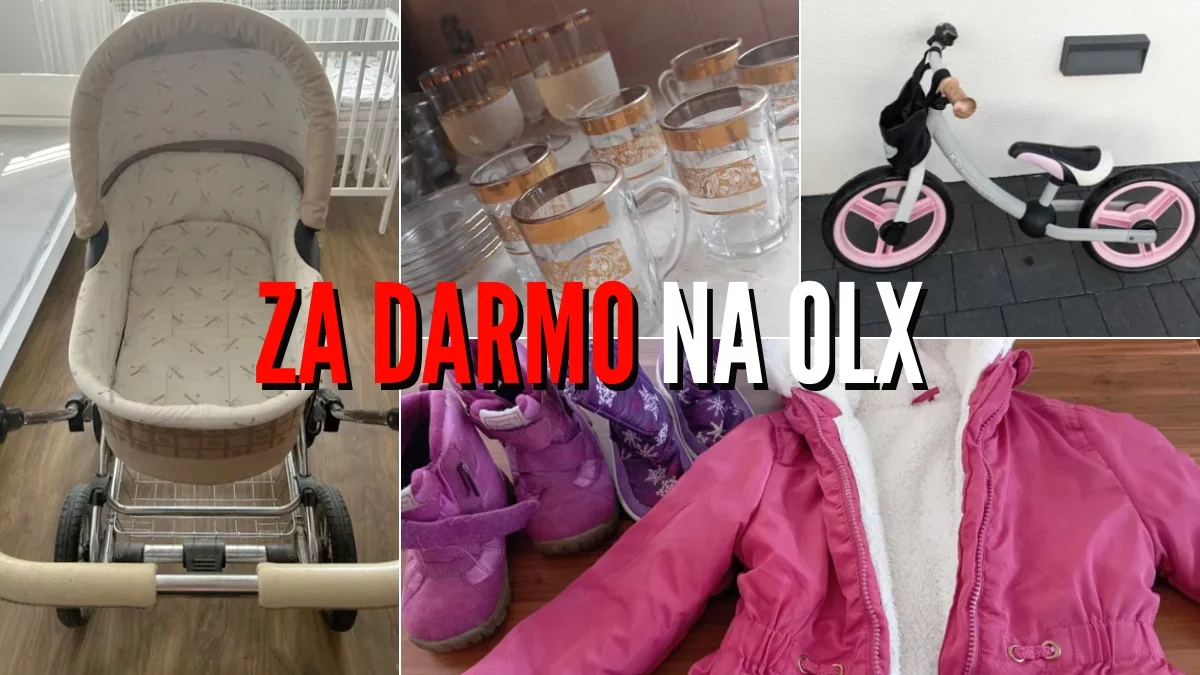 Oddam za darmo z Kolbuszowej i okolic na OLX. Najnowsze ogłoszenia [ZDJĘCIA] - Zdjęcie główne