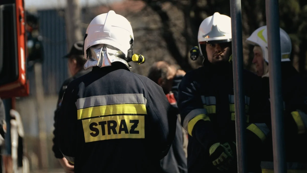 Pożar lasu, wypadki i powalone drzewa. Kolbuszowscy strażacy podsumowali święta wielkanocne - Zdjęcie główne