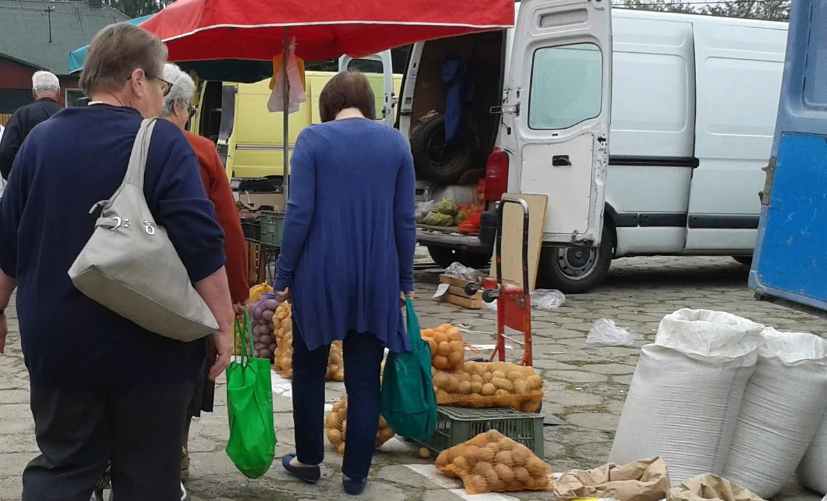 Czy uda się unowocześnić plac targowy w Kolbuszowej? - Zdjęcie główne