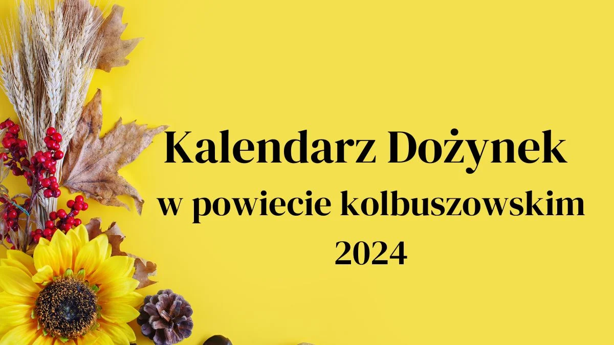 Gdzie i kiedy obędą się dożynki w powiecie kolbuszowskim? [PLAKATY] - Zdjęcie główne