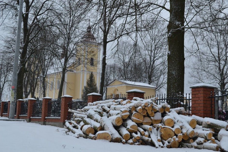 Majdan Królewski. Z cmentarza parafialnego usunięto stare drzewa  - Zdjęcie główne