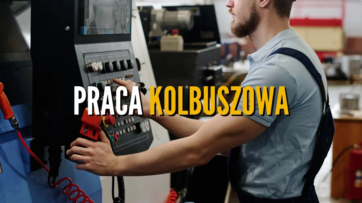 Praca w Kolbuszowej od zaraz. Szukają murarza, logistyka, instruktora nauki jazdy [OFERTY] - Zdjęcie główne