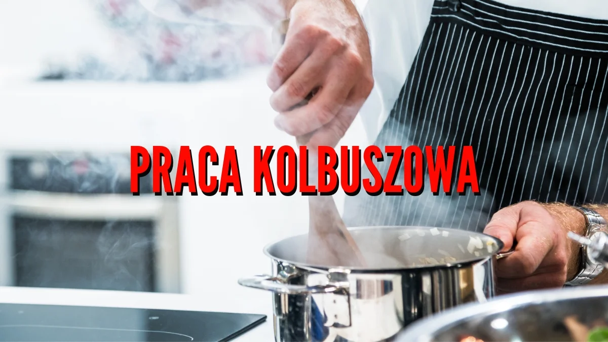 Praca w Kolbuszowej i okolicach. Jest zatrudnienie dla kucharza, kierownika sklepu, fizjoterapeuty czy barmana [OFERTY] - Zdjęcie główne