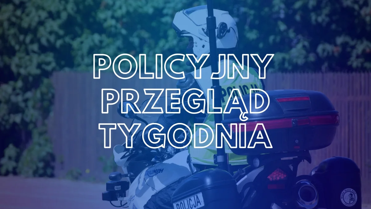 Wypadki i kolizje na drogach powiatu kolbuszowskiego. Policyjny przegląd tygodnia - Zdjęcie główne