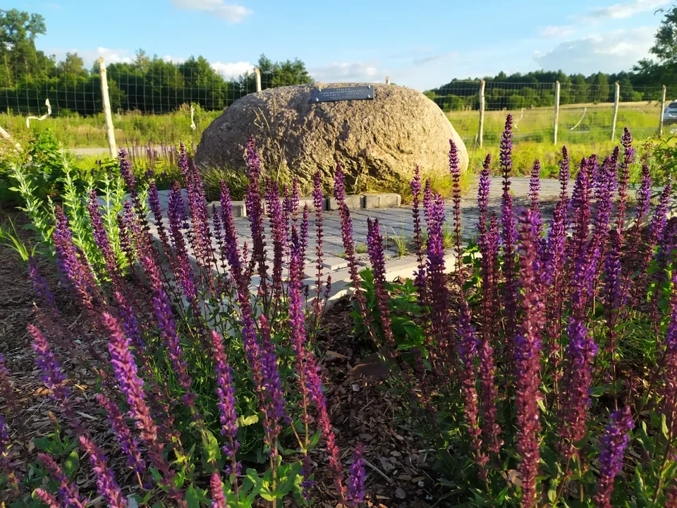 Park Niepodległości w Kolbuszowej 