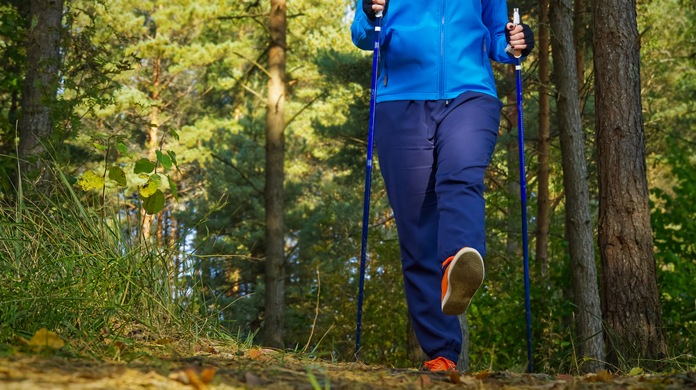 Rajd Nordic Walking w Weryni. Trwają zapisy  - Zdjęcie główne