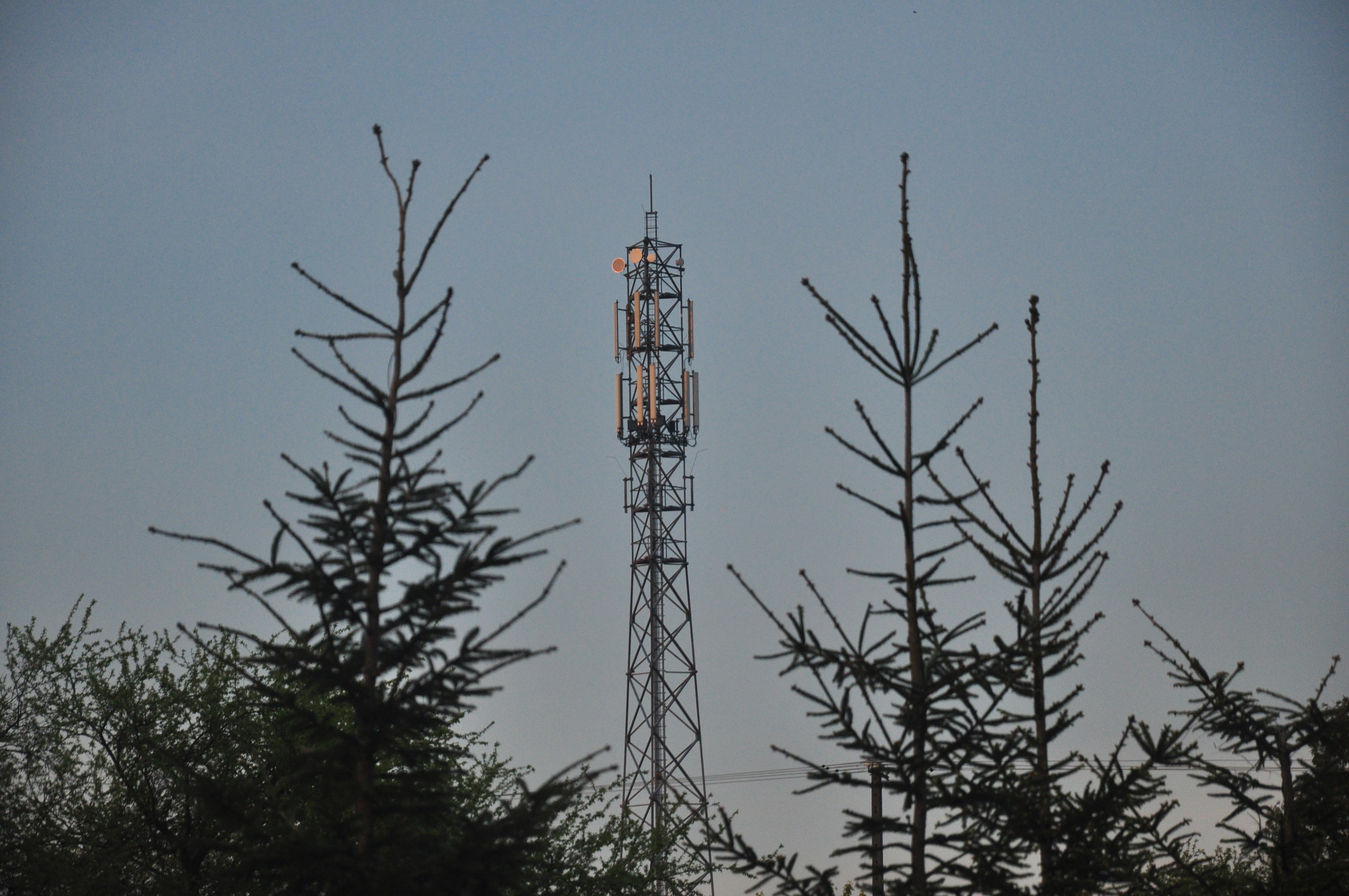 Sieć komórkowa Play ma zamiar wybudować wieżę nadajnikową w Dzikowcu. Czy powstanie? - Zdjęcie główne