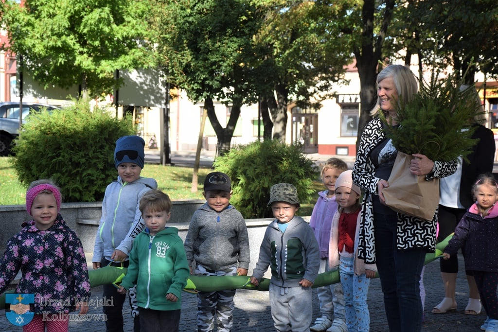 Na kolbuszowskim rynku trwa rozdawanie drzewek. Odbierz swoje - Zdjęcie główne