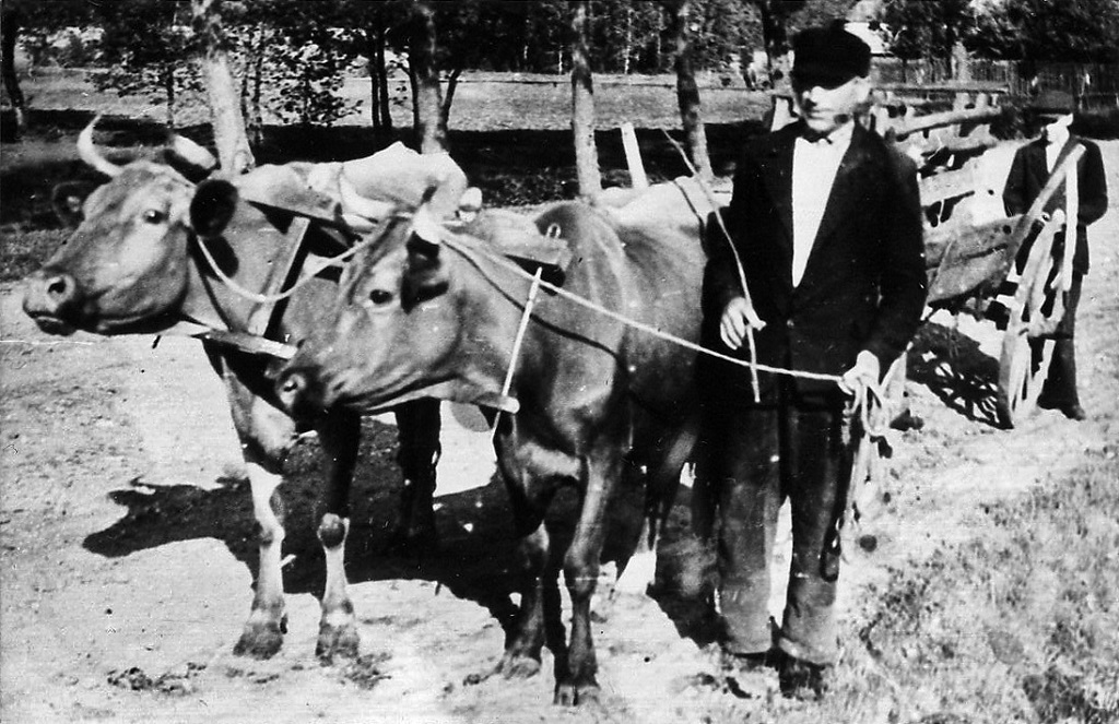 „A chłopska dusza niech w muzeum odpocznie…” - kolbuszowski skansen zaprasza na wystawę - Zdjęcie główne