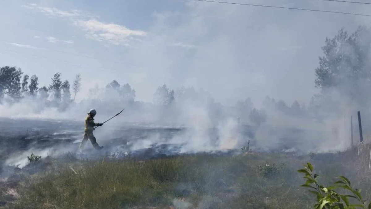 Strażacy walczą z pożarami traw w całym powiecie kolbuszowskim. Susza i silny wiatr dają się we znaki - Zdjęcie główne