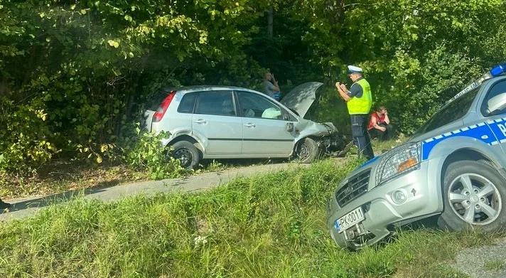 Policyjny radiowóz w rowie. Wypadek w Raniżowie [ZDJĘCIA] - Zdjęcie główne