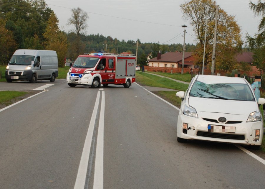 Podkarpacie. 86-latek śmiertelnie potrącony przez Hindusa [FOTO] - Zdjęcie główne