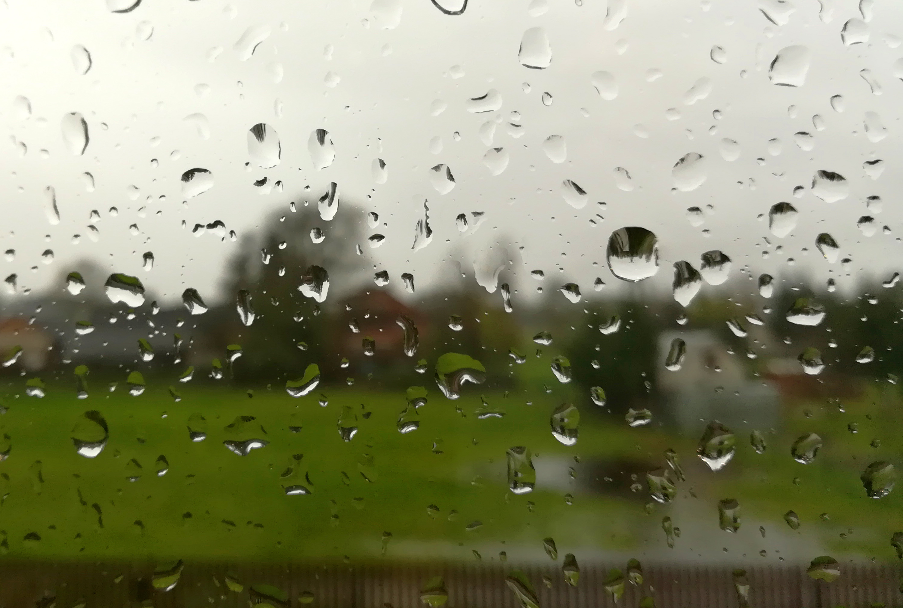 [OSTRZEŻENIE METEOROLOGICZNE] Na terenie powiatu kolbuszowskiego ma silnie wiać i intensywnie padać jeszcze kilka godzin - Zdjęcie główne