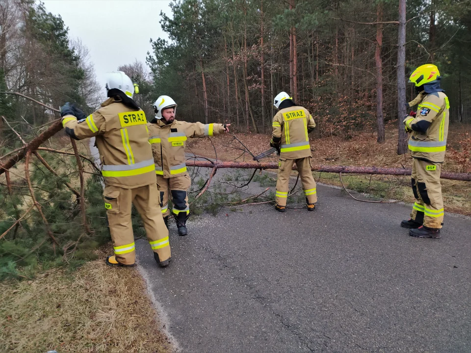 Wichura na Podkarpaciu. Interwencje strażaków w powiecie kolbuszowskim [AKTUALIZACJA] - Zdjęcie główne