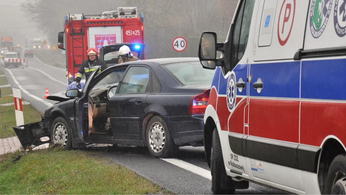 Pół roku na drogach powiatu kolbuszowskiego. Ponad 180 wypadków i kolizji [PODSUMOWANIE] - Zdjęcie główne