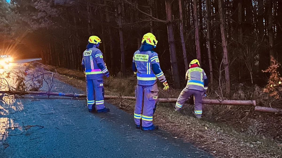 Strażacy usuwali skutki silnego wiatru. Ile interwencji w powiecie kolbuszowskim? - Zdjęcie główne