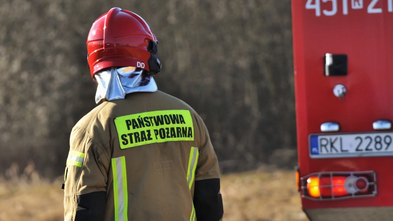 Ptasie gniazdo w kominie i pożar samochodu. Podsumowanie weekendowych interwencji strażaków - Zdjęcie główne