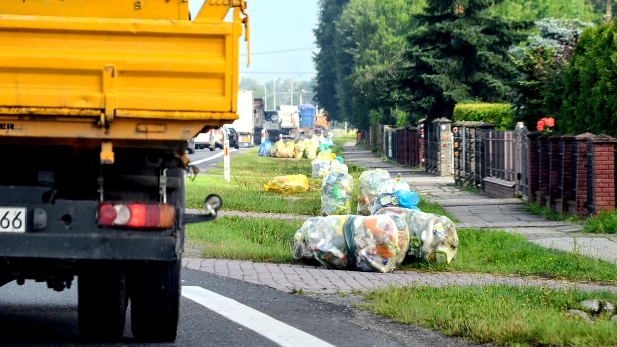 Mieszkańcy tych miejscowości najbardziej ryzykują mandatem. Chodzi o śmieci - Zdjęcie główne